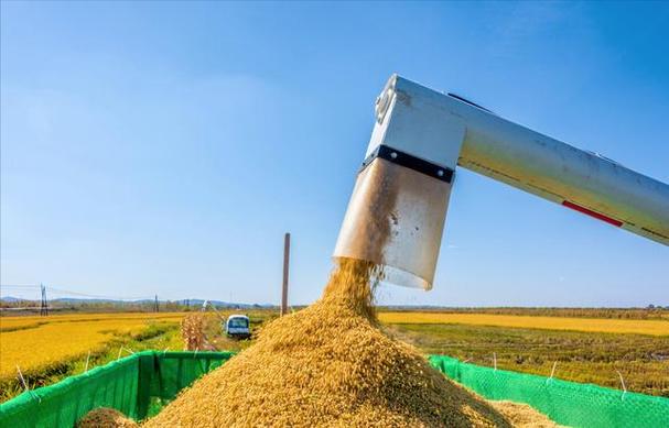 【导读】3月步入尾声,在国内农产品市场,近期,粮食价格走势偏弱,小麦